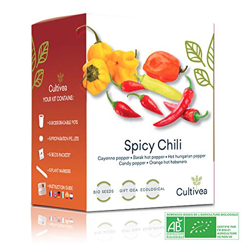 Chili Anzuchtset - 100% BIO Samen - Garten und genießen - Geschenkidee (Cayenne-Chili, Barak-Chilli, ungarischer Pfeffer, Kandis-Pfeffer, Hot Habanero Chili) - Scharf & Mild - CULTIVEA® von Cultivea