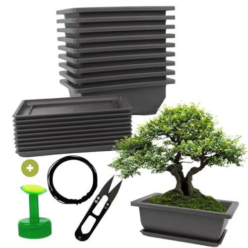 Cultivea® - Set mit 10 Bonsai-Töpfen mit Untersetzer – Komplettset für Anbau und Pflege: Kunststofftöpfe mit Bonsaidraht, Gartenschere, Gießkannenstopfen und integrierter Drainage von Cultivea