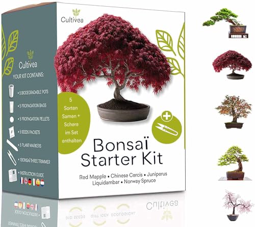 Bonsai Starter Kit – Set Bonsai Anzuchtset 5 verschiedene Bonsaï-Samen – Wachstumsanleitung enthalten - Züchten Sie Ihren wunderschönen Bonsai – Geschenkidee für Männer und Frauen - CULTIVEA® von Cultivea