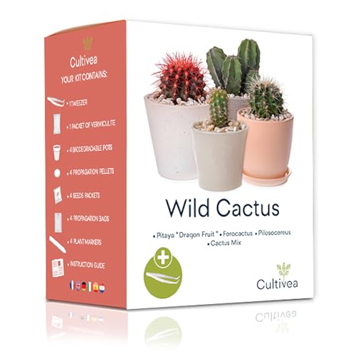Kaktus-Set – Französische Samen 100% ökologisch – im Garten und zum Dekorieren – Geschenkidee (Pitaya „Drachenfrucht“, Ferocactus, Pilosocereus und Cactus Mix) - CULTIVEA® von Cultivea