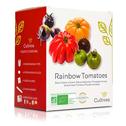 Rainbow Tomatoes – Bio Tomaten Anzuchtset -100% Öko Samen – Indoor Garten – Das perfekte Geschenk – Gemüse Set (Green & Black Zebra, Sweet Heart, Haiwaiian Pineappel, Physalis) - CULTIVEA® von Cultivea