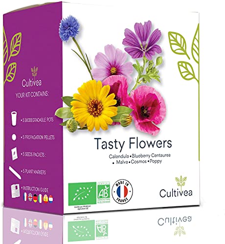 Tasty Flowers – Essbare Bio Blumen Anzuchtset -100% Öko Samen – Indoor Garten – Bio Samen – Das perfekte Geschenk (Calendula, Blueberry, Malva, Cosmos, Hibiscus) – DIY - CULTIVEA® von Cultivea