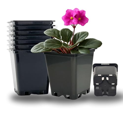 Cultonix Viereckiger Blumentopf 0,5L – 20er Set | Pflanztopf eckig Kunststoff, Anzuchttöpfe für Balkon & Terrasse, Blumentöpfe Indoor Outdoor, Einsatz für Pflanzkübel groß außen von Cultonix