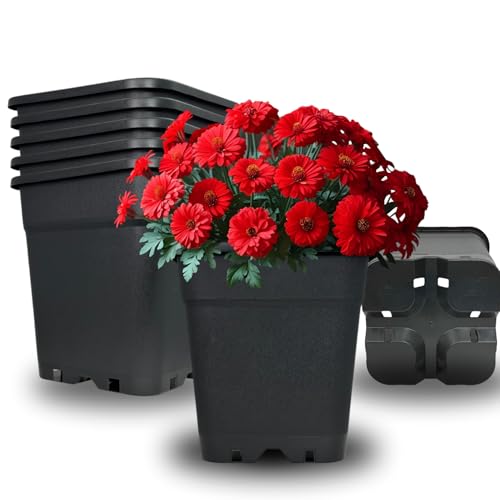 Cultonix Viereckiger Blumentopf 18L – 3er Set | Pflanztopf eckig Kunststoff, Anzuchttöpfe für Balkon & Terrasse, Blumentöpfe Indoor Outdoor, Einsatz für Pflanzkübel groß außen von Cultonix