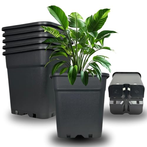 Cultonix Blumentopf Kunststoff Schwarz – 0,5L bis 25L – Innen & Außen, Hoch & Viereckige Pflanztöpfe für Garten & Growbox - Kräutertöpfe - Anzuchttöpfe -Pflanzkübel (3 X 25 L) von Cultonix