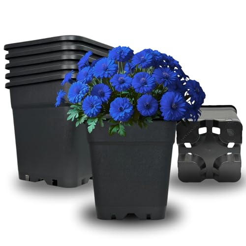 Cultonix Viereckiger Blumentopf 11L – 10er Set | Pflanztopf eckig Kunststoff, Anzuchttöpfe für Balkon & Terrasse, Blumentöpfe Indoor Outdoor, Einsatz für Pflanzkübel groß außen Cultonix Viereckiger Blumentopf 11L – 10er Set | Pflanztopf eckig Kunststoff, Anzuchttöpfe für Balkon & Terrasse, Blumentöpfe Indoor Outdoor, Einsatz für Pflanzkübel groß außen von Cultonix