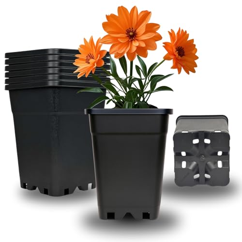 Cultonix Viereckiger Blumentopf 1L – 3er Set | Pflanztopf eckig Kunststoff, Anzuchttöpfe für Balkon & Terrasse, Blumentöpfe Indoor Outdoor, Einsatz für Pflanzkübel groß außen Cultonix Viereckiger Blumentopf 1L – 3er Set | Pflanztopf eckig Kunststoff, Anzuchttöpfe für Balkon & Terrasse, Blumentöpfe Indoor Outdoor, Einsatz für Pflanzkübel groß außen von Cultonix