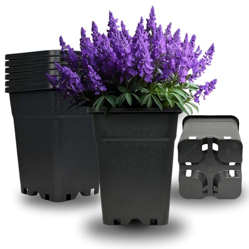 Cultonix Viereckiger Blumentopf 7L – 20er Set | Pflanztopf eckig Kunststoff, Anzuchttöpfe für Balkon & Terrasse, Blumentöpfe Indoor Outdoor, Einsatz für Pflanzkübel groß außen von Cultonix