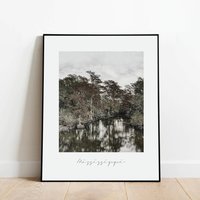 Mississippi Landschaftsdruck, Bayou Poster, Geschenke, Sumpf Foto, Natur Wandkunst, Zustand Geschenke von CulverAndCambridge