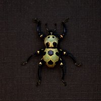 Weevil Mania - Echtes Gold Gerahmter Käfer Pachyrhynchus Orbifer Seltene Farbform von CuriousKingdomShop