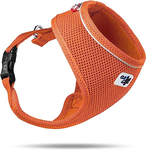 Basic Harness Air-Mesh Orange XS von Curli