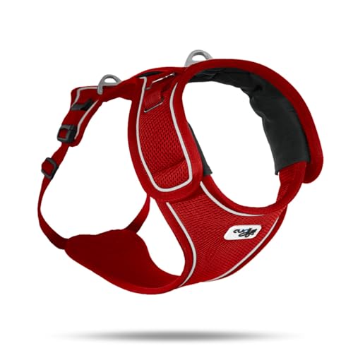 Belka Harness Red M Belka Harness Red M von Curli