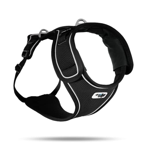 Belka Harness Black XL von Curli