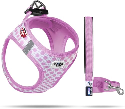 Vest Harness Air-Mesh Pink-Circles 3XS & Leash M von Curli