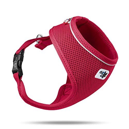 Basic Harness Air-Mesh Red L von Curli