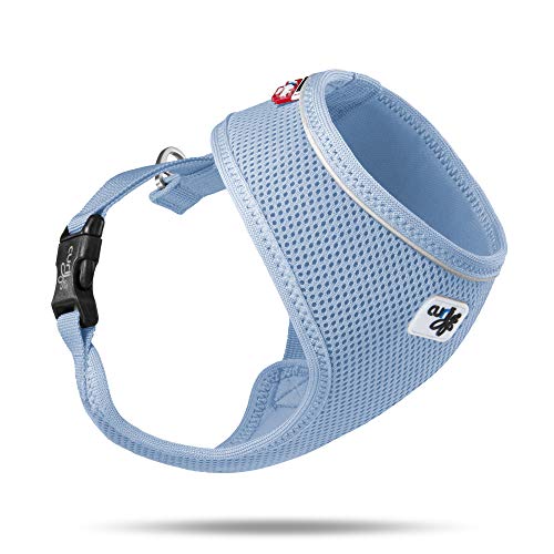 Basic Harness Air-Mesh Skyblue XL Basic Harness Air-Mesh Skyblue XL von Curli