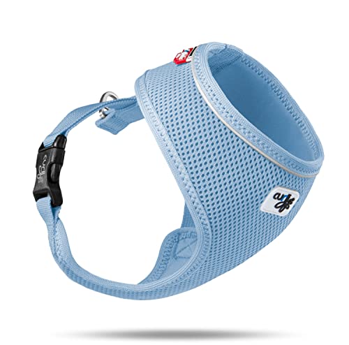 Basic Harness Air-Mesh Skyblue M Basic Harness Air-Mesh Skyblue M von Curli
