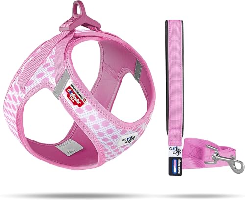 Vest Harness curli Clasp Air-Mesh Pink-Circles 2XS & Leash M von Curli