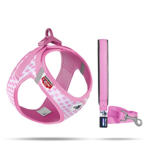 Vest Harness curli Clasp Air-Mesh Pink-Circles 3XS & Leash M von Curli