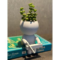 "Tischler Geschenk Tischler Sukkulenten Pflanzer "Wee Jomiytisch Tischler" Air Plant Halter - Schiffe Aus Den Usa." von CurlyFutrets