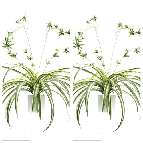 Curtainboro Künstliche Hängepflanzen, Chlorophytum Comosum Hängepflanze mit Topf, künstliche Spinne für den Innen- und Außenbereich, Haus, Garten, 2 Stück von Curtainboro
