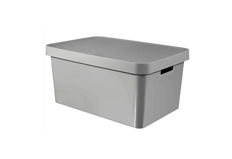 Curver Aufbewahrungsbox, Behälter mit Deckel Infinity 45 L von Curver