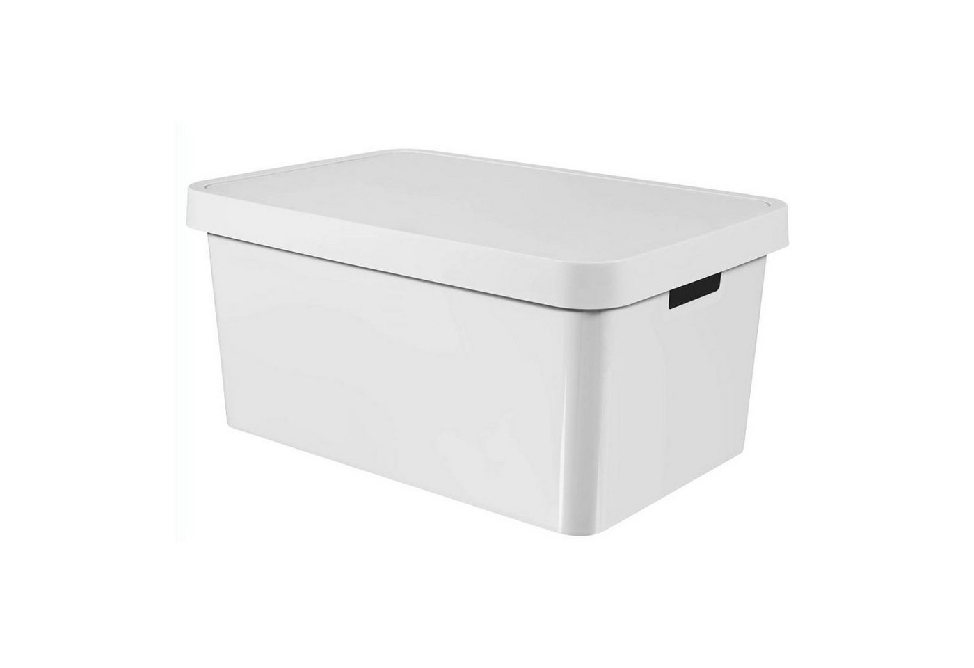 Curver Aufbewahrungsbox, Behälter mit Deckel Infinity 45 L von Curver