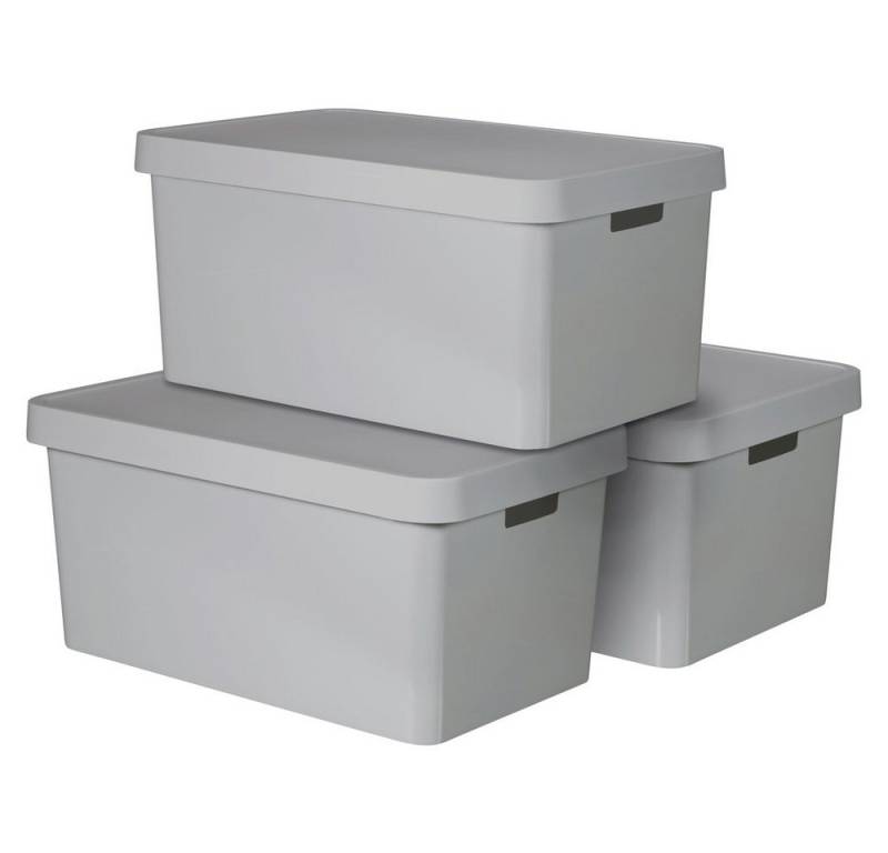 Curver Aufbewahrungsbox Curver 240659 Kunststoffbox INFINITY (B x H x T) 560 x 270 x 390 mm von Curver