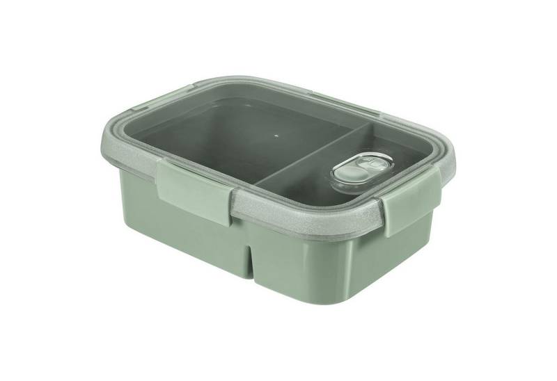 Curver Lunchbox DUAL Smart To Go Eco Line Lebensmittelbehälter, Polypropylen, Auslaufsicherer Deckel, Ventil im Deckel, zwei Fächer 0,6L + 0,3L Curver Lunchbox DUAL Smart To Go Eco Line Lebensmittelbehälter, Polypropylen, Auslaufsicherer Deckel, Ventil im Deckel, zwei Fächer 0,6L + 0,3L von Curver