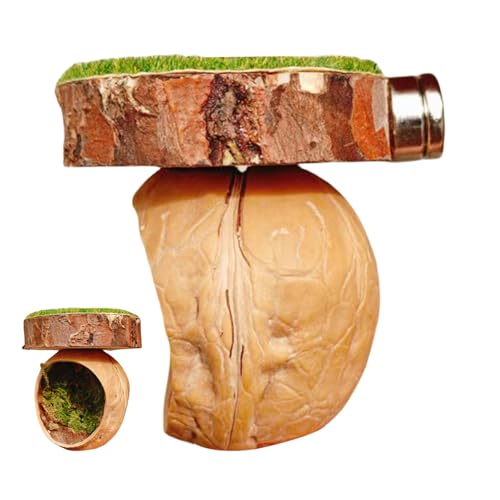Cushangty Dekoration Für Springspinnen | Kletterhilfe Für Spinnen | Handgefertigter Magnetischer Unterschlupf Für Reptilien Vogelspinnen Gottesanbeterin Terrarium Cushangty Dekoration Für Springspinnen | Kletterhilfe Für Spinnen | Handgefertigter Magnetischer Unterschlupf Für Reptilien Vogelspinnen Gottesanbeterin Terrarium von Cushangty