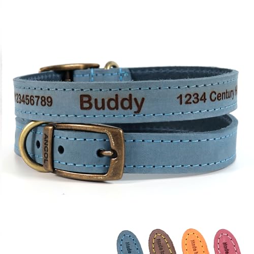 Personalisiertes Lederhalsband für Hund + optionale Leine | Lasergravur - Blau, Größe 4 Personalisiertes Lederhalsband für Hund + optionale Leine | Lasergravur - Blau, Größe 4 von CustomDesign.Shop