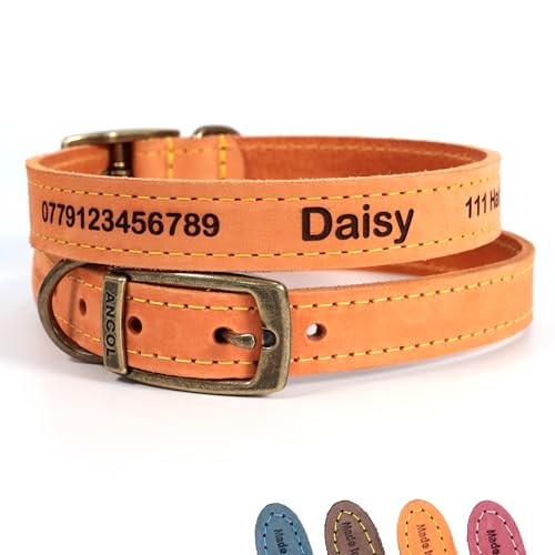 Personalisiertes Lederhalsband für Hund + optionale Leine | Lasergravur - Hellbraun, Größe 2 von CustomDesign.Shop