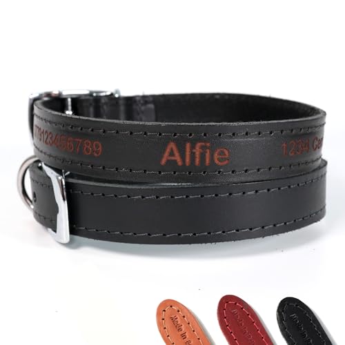 Personalisiertes Lederhalsband für Hund | Schaffen Sie Ihr einzigartiges Tierkennzeichen | Lasergravur - Größe 2, Schwarz von CustomDesign.Shop
