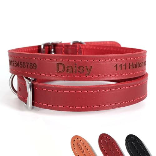 Personalisiertes Lederhalsband für Hund | Schaffen Sie Ihr einzigartiges Tierkennzeichen | Lasergravur - Größe 6, Rot von CustomDesign.Shop