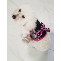 Kleiner Hundegeschirr, Polka Dot Schleife, Atmungsaktives Schwarzes Netz, Made in Usa, Haustierkleidung von CustomDogJacket