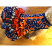 Kleines Hundegeschirr, Boise State, Dreifache Rüsche Made in Usa, Haustierbekleidung von CustomDogJacket
