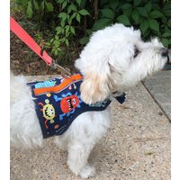 Little Monsters Ii Kleines Hundegeschirr Made in Usa, Hundegeschirr, Haustierkleidung von CustomDogJacket