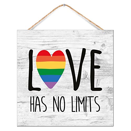 Hängendes Holzschild mit Aufschrift "Love Has No Limits", primitive Dekoration für Fenster, modernes Landholz, Wandschild, lesbisch, schwul, bisexuell, Transgender, Asexuell, Kinderzimmer, von CustonCares