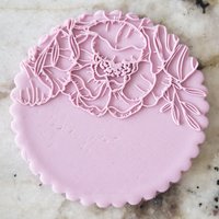 Blümchen Top Keks Popup Embosser Stempel Fondant Kuchen Dekorieren Icing Schablone Muttertag von CutBakeStamp