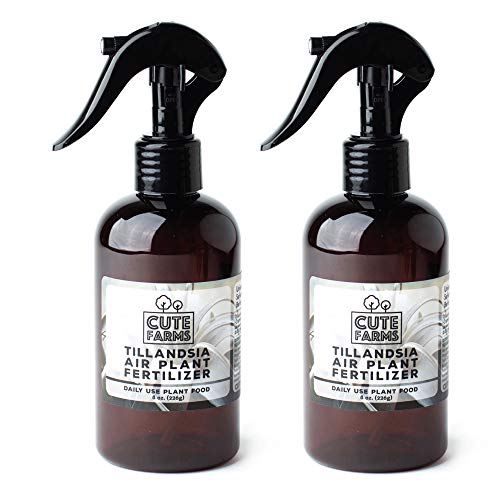 Cute Farms Tillandsia Luftpflanzendünger, sanfte tägliche Verwendung, Formel für Pflanzennahrung TWO - 8 oz. Spray Bottles Cute Farms Tillandsia Luftpflanzendünger, sanfte tägliche Verwendung, Formel für Pflanzennahrung TWO - 8 oz. Spray Bottles von Cute Farms