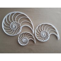 Fibonacci-Shell Wachstum Form Cookie Cutter Teig Keks Gebäck Fondant Stempel Schablone Scharfe Sequenz Mathematik Wissenschaft Muster Natur Fibonacci-Shell Wachstum Form Cookie Cutter Teig Keks Gebäck Fondant Stempel Schablone Scharfe Sequenz Mathematik Wissenschaft Muster Natur von CutterCraftUK