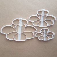 Narzissen Pflanze Blume Form Cookie Cutter Teig Keks Gebäck Fondant Scharfe Schablone Blumen Garten St. Davids Tag Wales Welsh Narzissen Pflanze Blume Form Cookie Cutter Teig Keks Gebäck Fondant Scharfe Schablone Blumen Garten St. Davids Tag Wales Welsh von CutterCraftUK