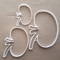 Niere Orgel Menschlichen Körper Form Cookie Cutter Teig Keks Gebäck Fondant Scharfe Schablone Teil Medizin Anatomie von CutterCraftUK
