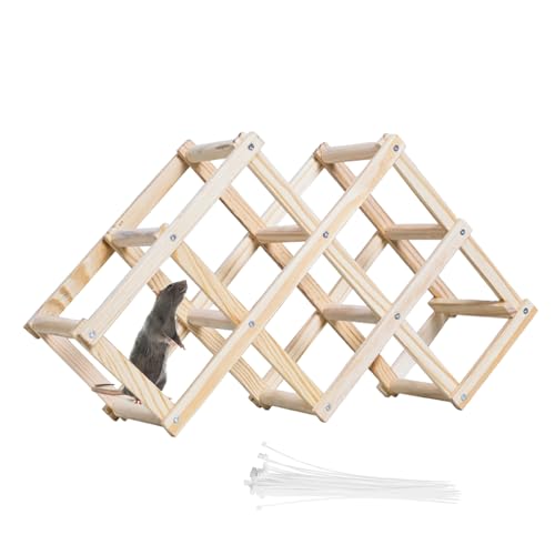 Hamster Kletterleiter aus Holz Hamster Leiter Spielzeug Hamsterkäfig Zubehör Hängebrücke Kauspielzeug für Meerschweinchen Ratten 45x23,5 cm Hamster Kletterleiter aus Holz Hamster Leiter Spielzeug Hamsterkäfig Zubehör Hängebrücke Kauspielzeug für Meerschweinchen Ratten 45x23,5 cm von Cuyacili