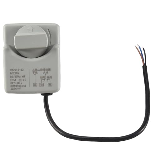 Cvoepobey Ac220V Dn15 2 Way 3 Drähte Motorisierte Antrieb Mit Hand Schalter von Cvoepobey