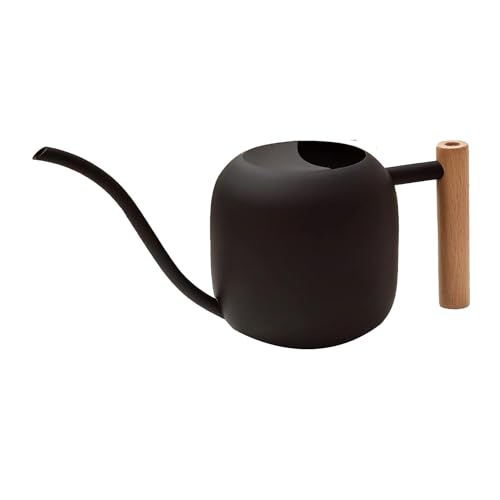 Cvoepobey Edelstahl 1,2L/41OZ Zimmerpflanzen Niedliche Gießkanne Topf Gartengießkanne mit Langem Auslauf von Cvoepobey