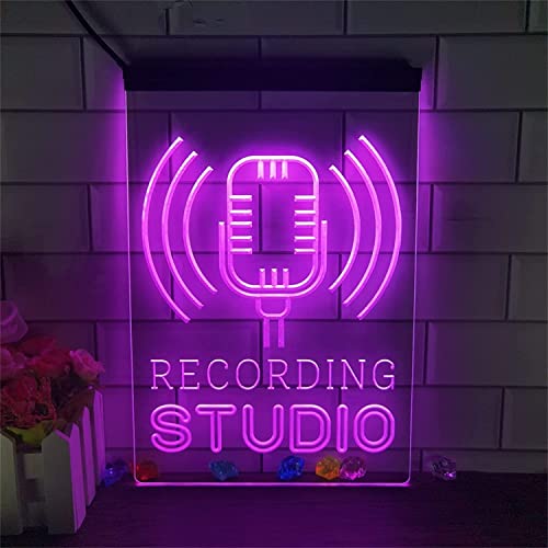 CwccLSH Leuchtschilder LED-Leuchtreklame for Aufnahmestudio-Mikrofone, USB-Dimmung von 3D-Display-Neonlichtern(Pink,20x30cm) von CwccLSH