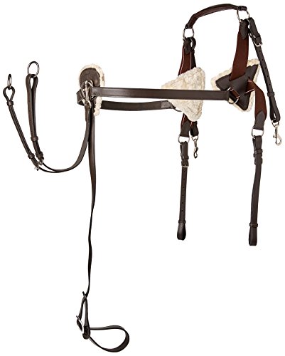 Cwell Equine 5-Punkt-Brustgeschirr, Leder, mit Druckpolstern von Cwell Equine