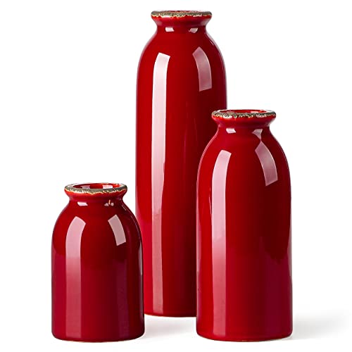 CwlwGO Keramikvasen-Set, 3 kleine Vasen, moderne dekorative Vase, geeignet für Regaldekoration, Kamindekoration, Bücherregal, Wohnzimmer-Tischdekoration, Kamin und Eingangsdekoration. Rot von CwlwGO