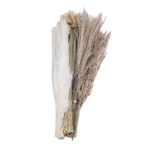 Cygmophing Pampas Grasstrauß 110pcs getrocknete Blumen Blumendekor für Hochzeitsarrangements von Cygmophing
